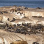 טיול דרום אפריקה שמורת טבע