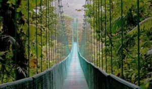 Monteverde_Costa Rica