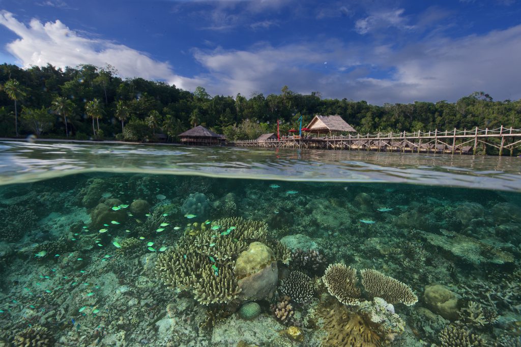 Unnamed_Road,_Kapisawar,_Meos_Mansar,_Kabupaten_Raja_Ampat,_Papua_Bar._98482,_Indonesia_-_panoramio_(8)