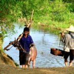 פו לונג איכרים