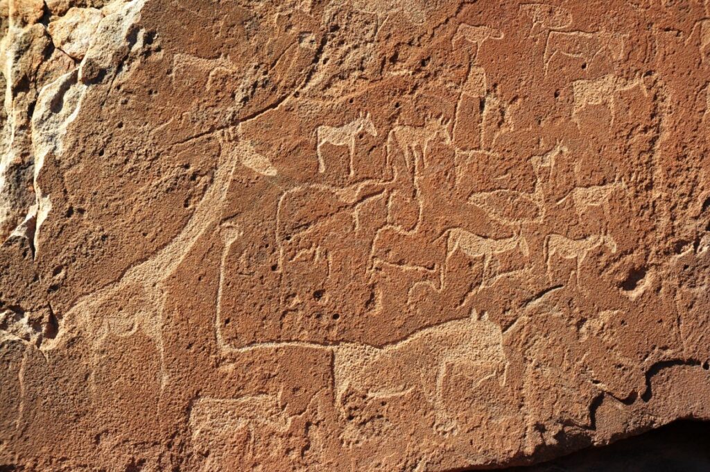 דוגמה לפטרוגליפים - טיול לנמיביה עם עולם נסתר