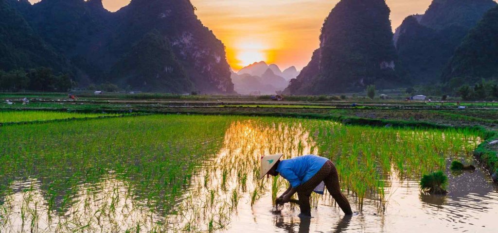 טיול לויאטנם למשפחות