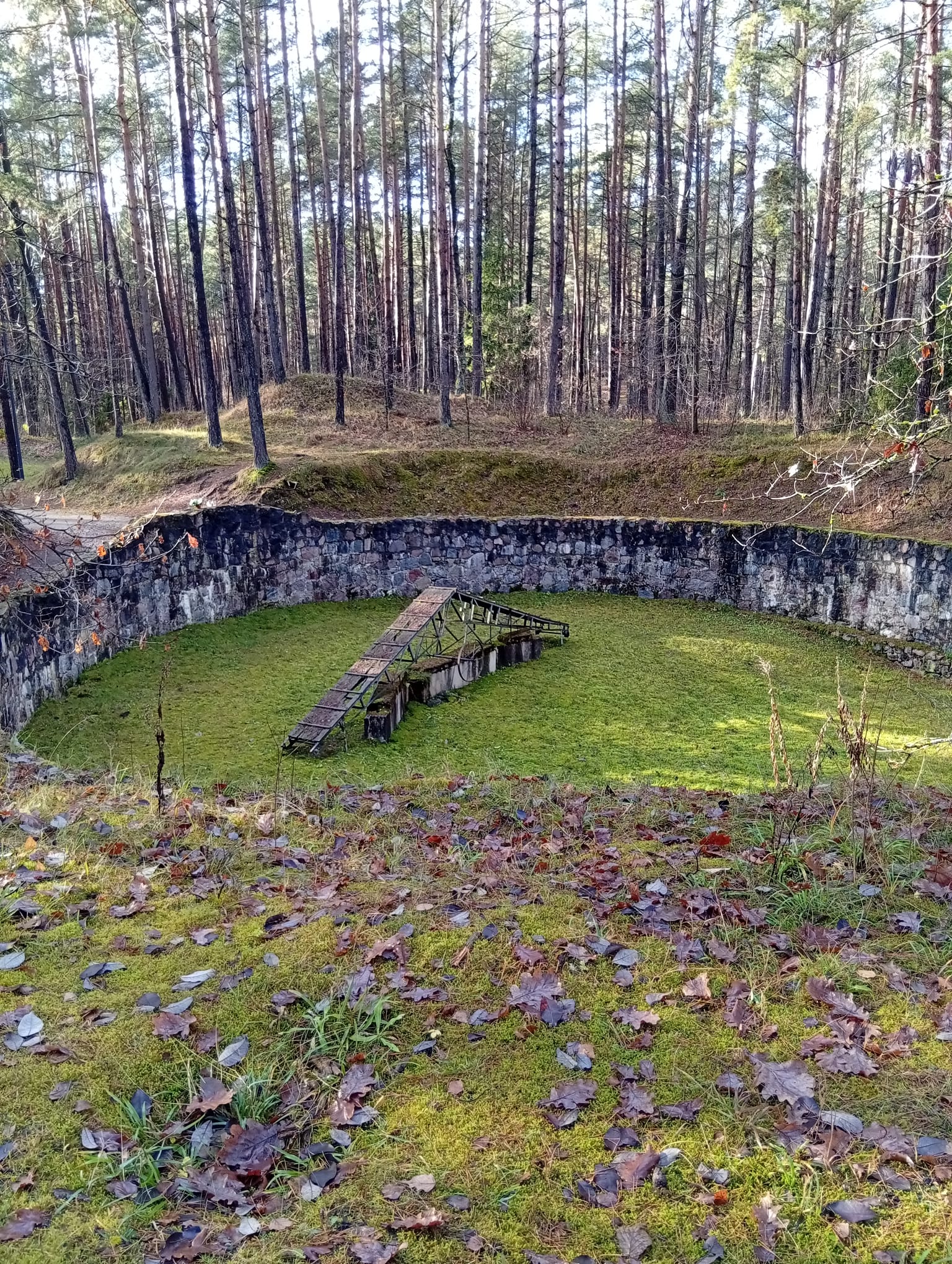 פונאר ופרטיזנים