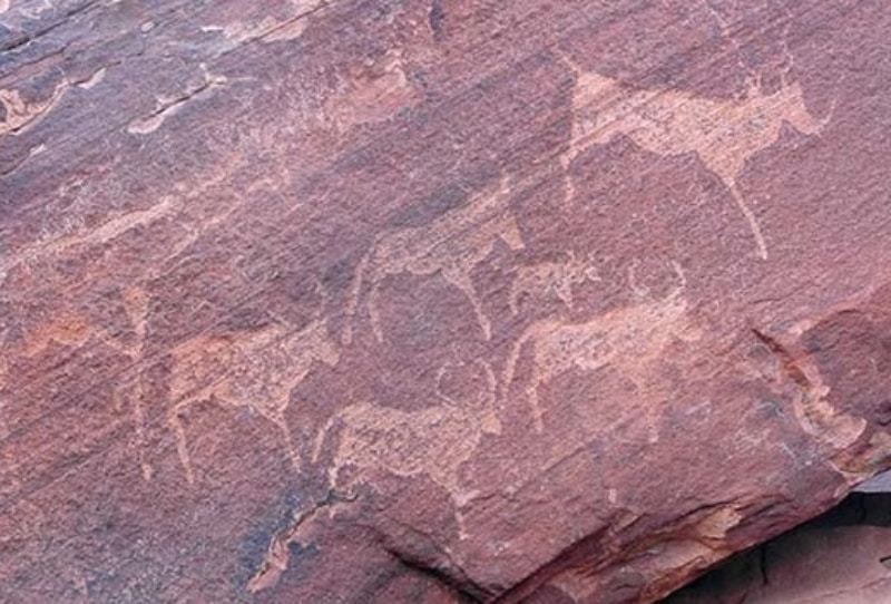 מסווקופמונד לדמארלנד