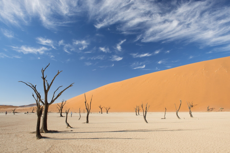 דרום שמורת אטושה