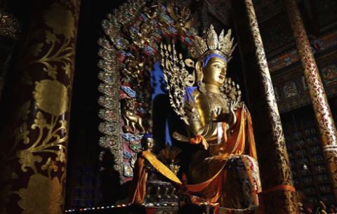 4/8 - טונגרן - שיאחה