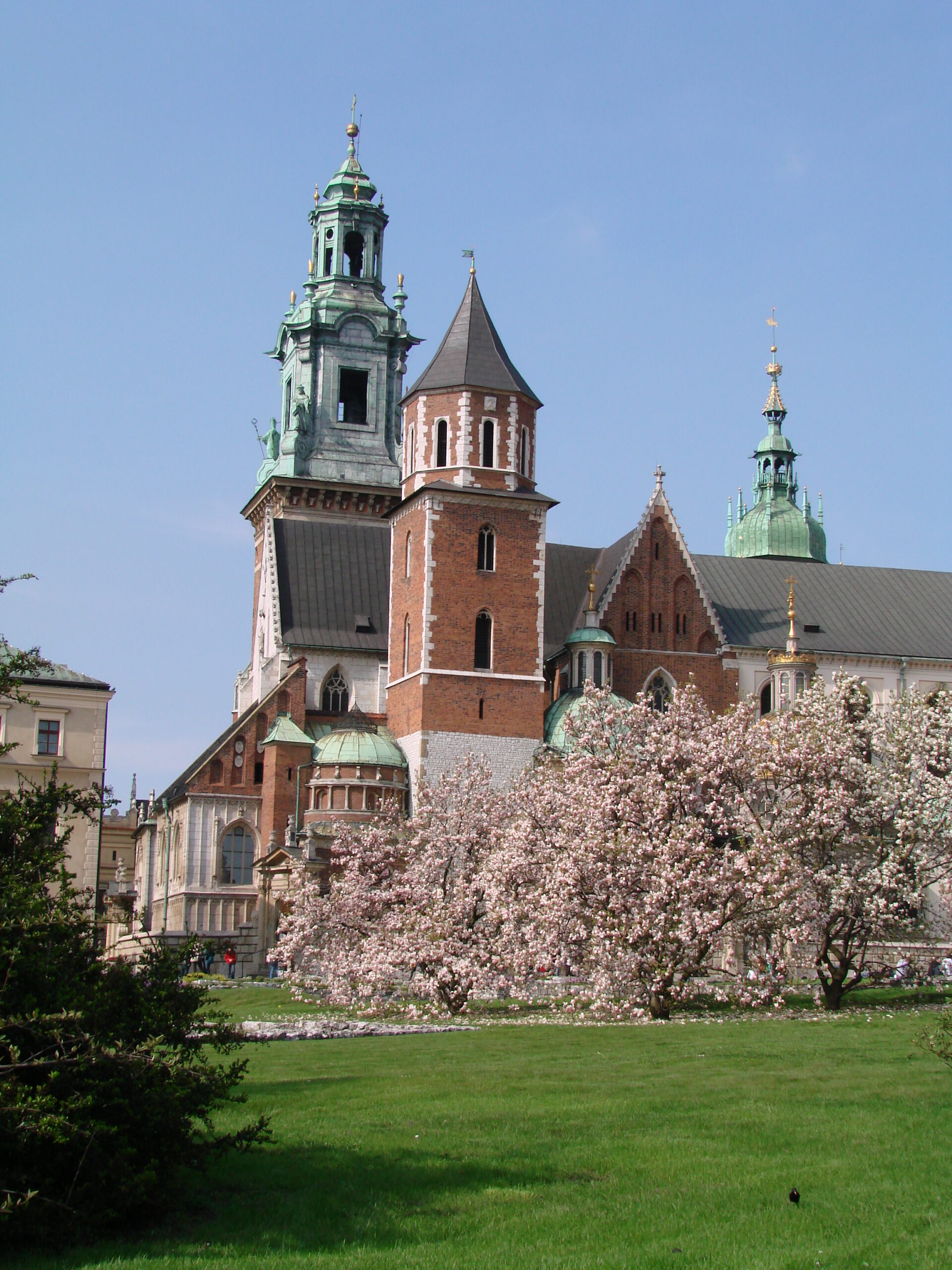 Wawel wiosną (1)