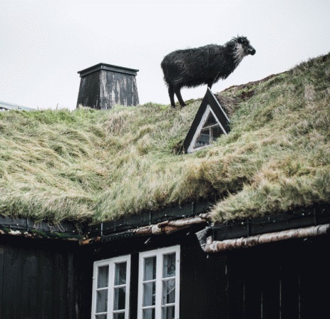מראה טיפוסי - איי פארו - טיול עם עולם נסתר