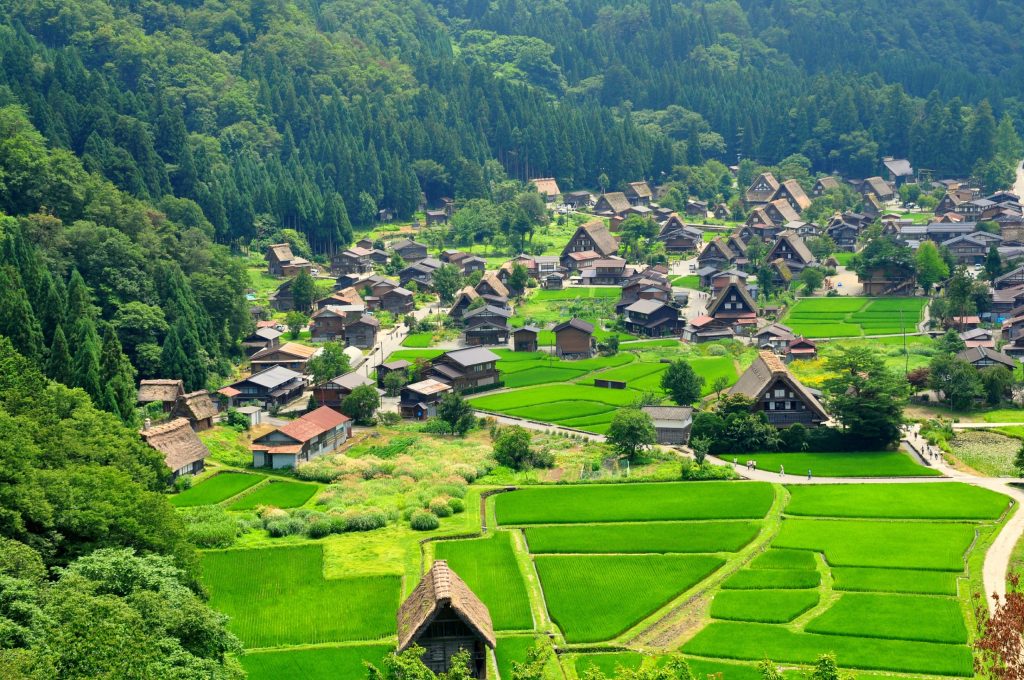 21.10 - שיראקאגאווא גו - גיפו 