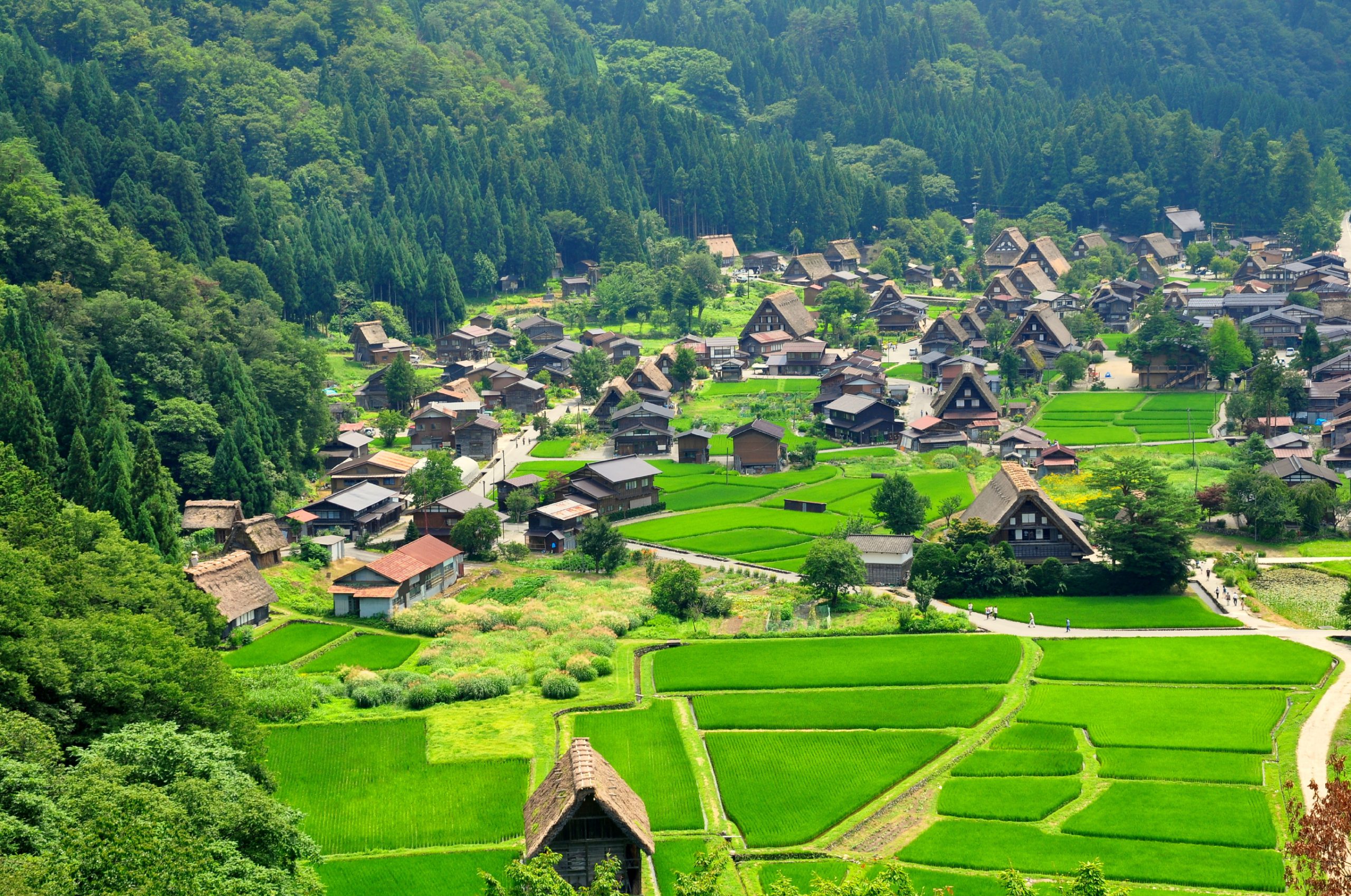 שיראקאגאווא גו - גיפו - טיול מאורגן ליפן עם עולם נסתר