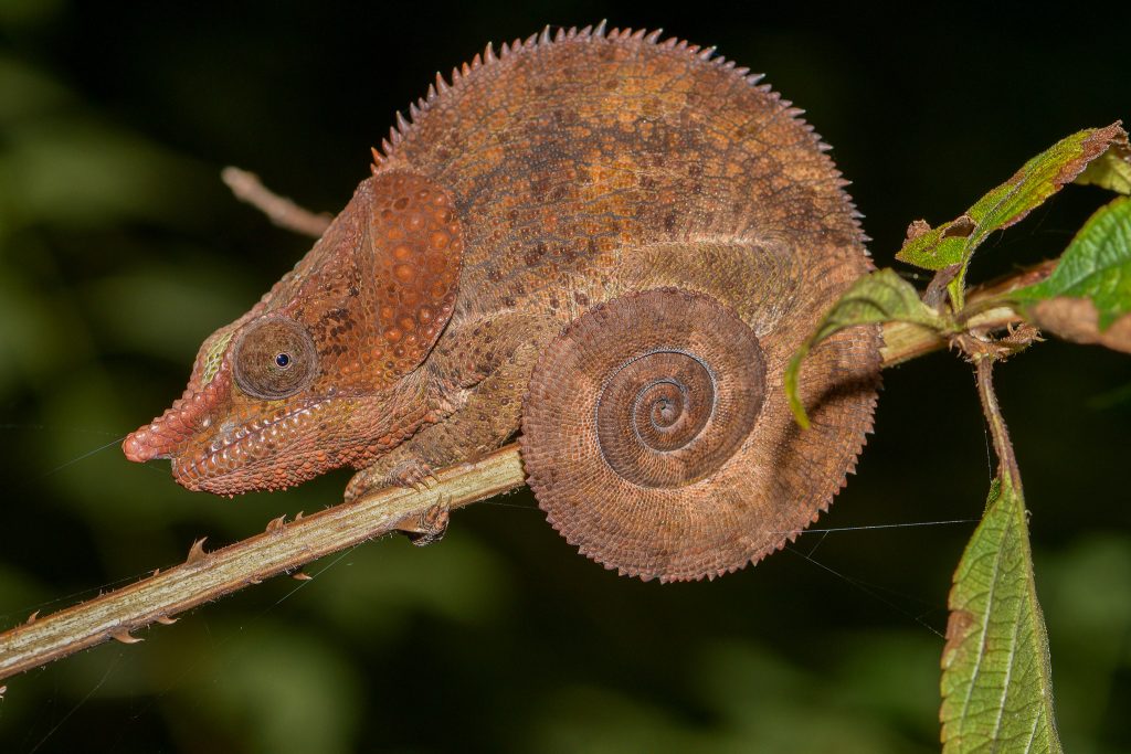 23.9 - מנטסואה Mantasoa