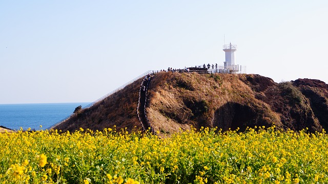 18-19.10 - בוסאן - האי ג'ג'ו