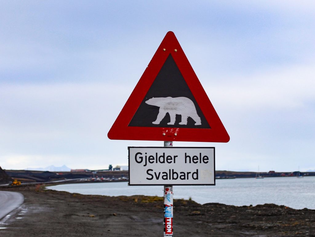 noverodus-spitsbergen-4763129_1920